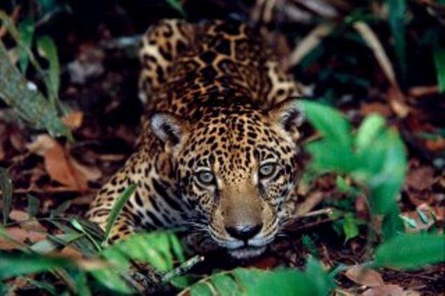 Cataguás Brasil Pousada e Grill Carrancas Exterior foto